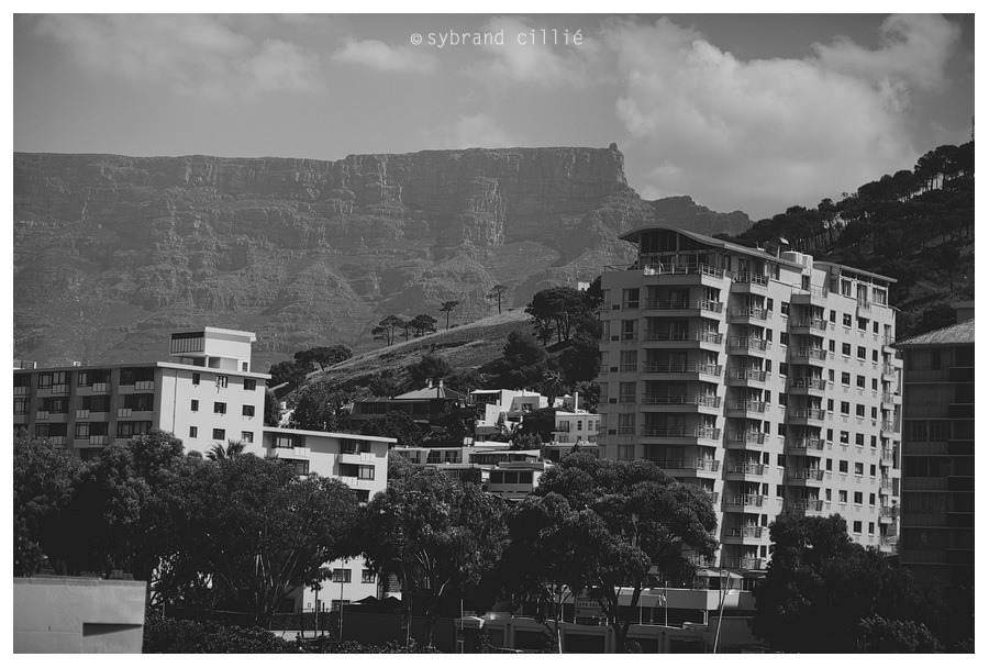 CJ_0242 copy CJ_0242 copy
