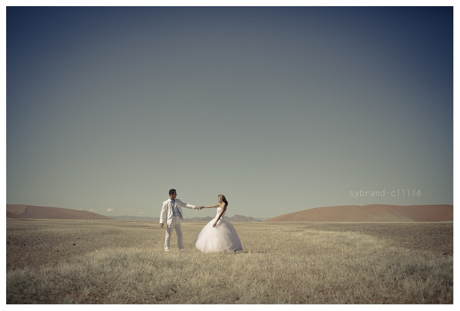 MM_3411 copy
