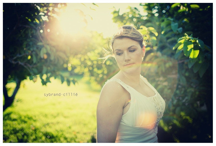 LP_1285 copy
