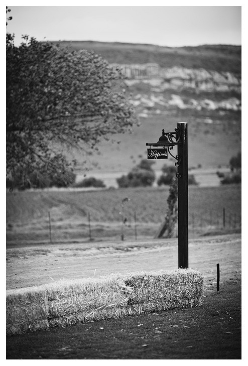 AP_0678 copy