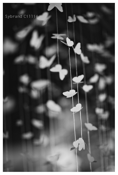 AP_0763 copy