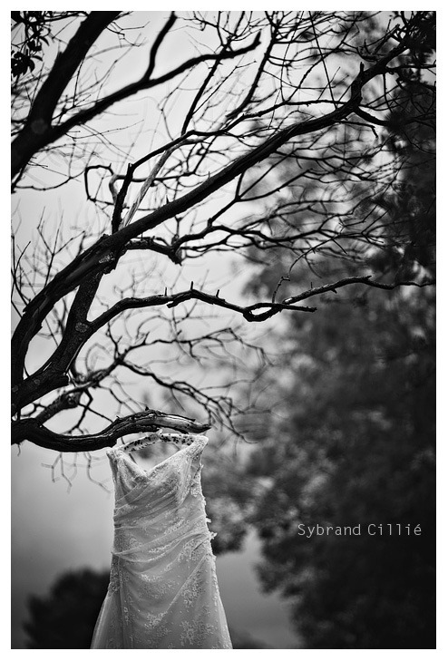 AP_0814 copy