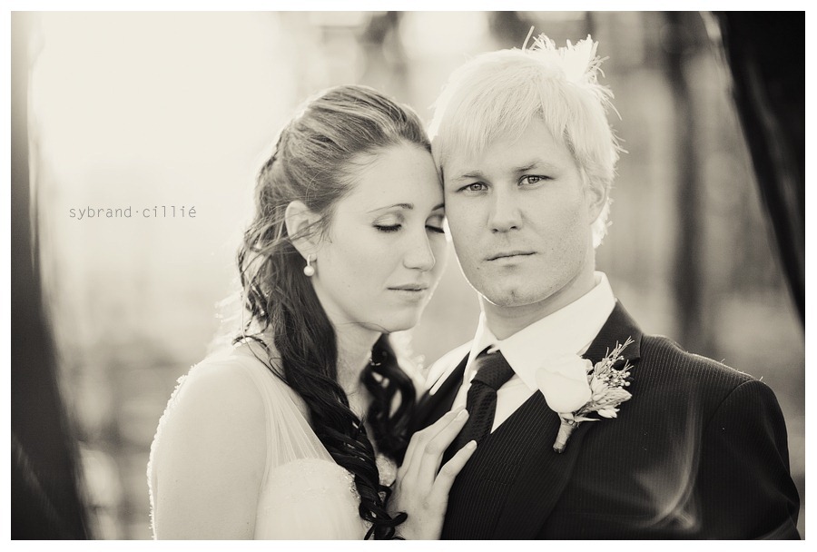 MG_1596 copy
