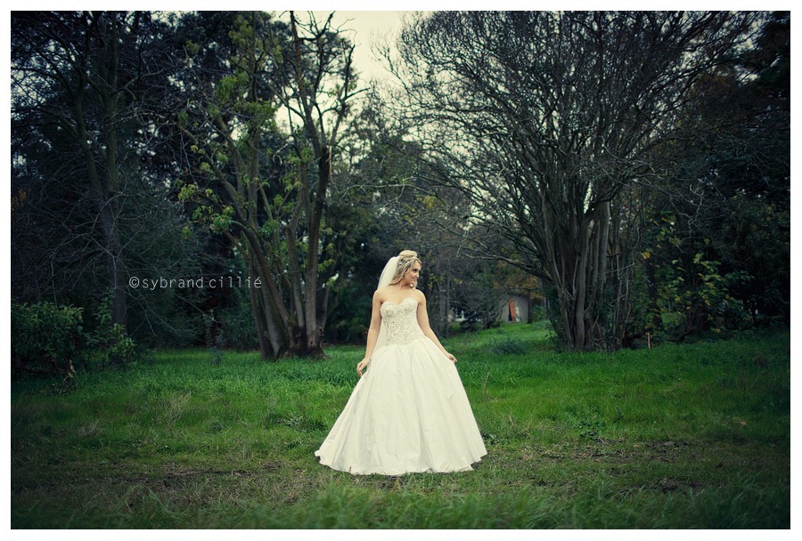 SJ_2910 copy SJ_2910 copy