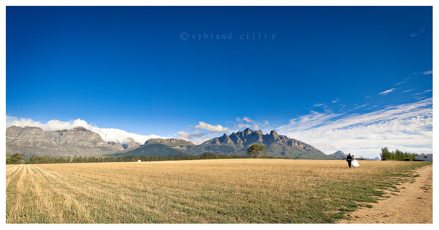 Panorama copy