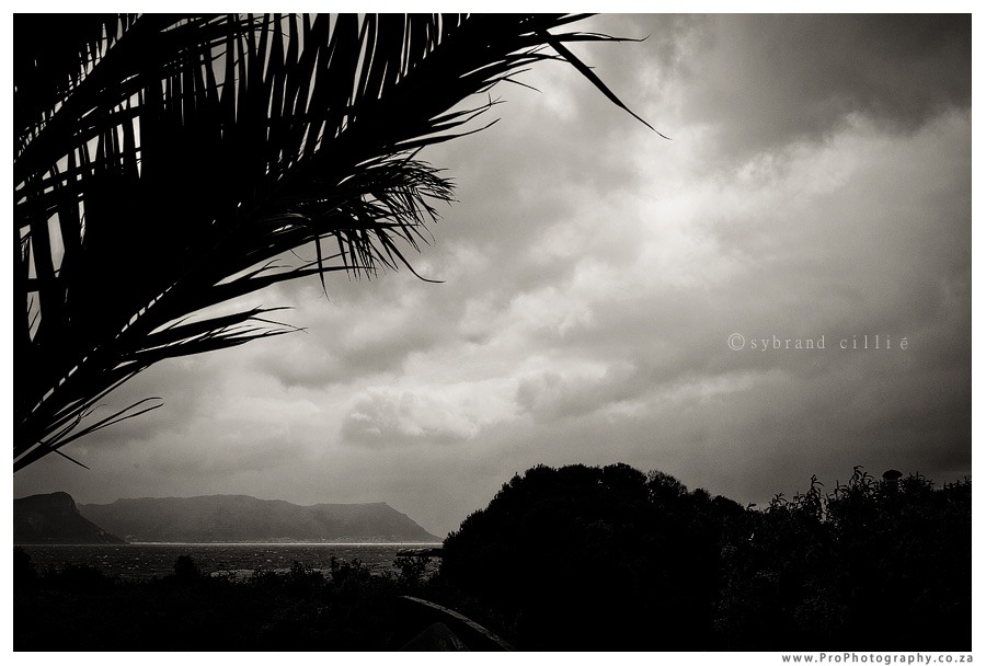 CS_0103 copy