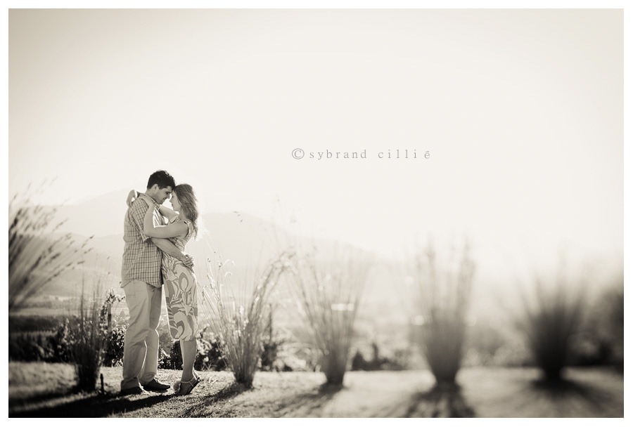 CP_0128 copy