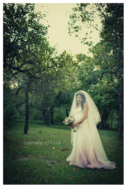 CS_2307 copy