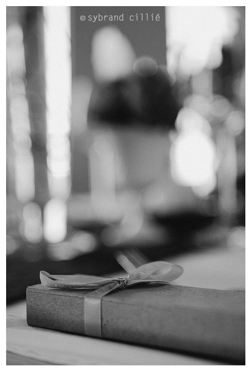 FZ_0063 copy