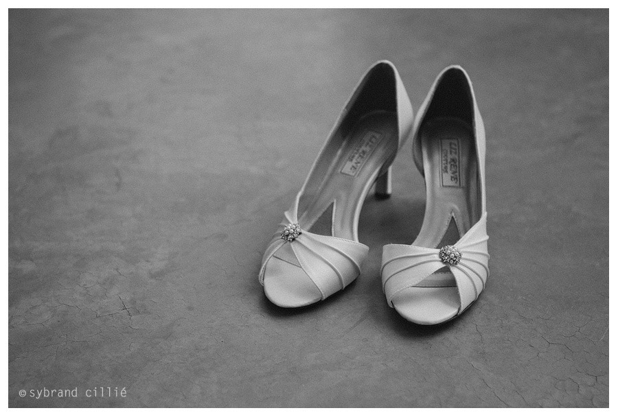 FZ_0238 copy