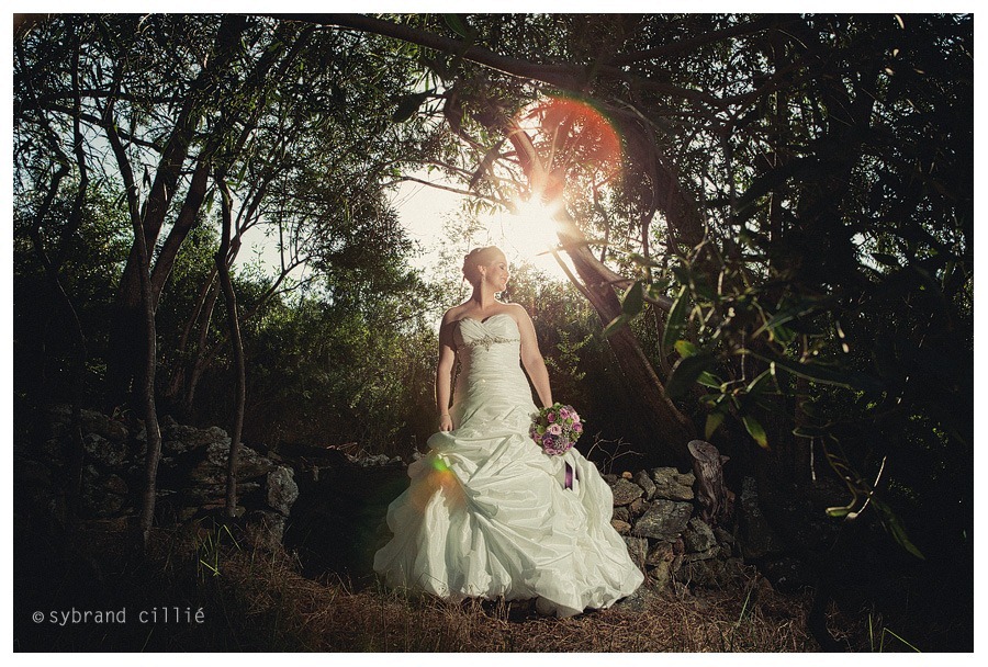 FZ_1735 copy