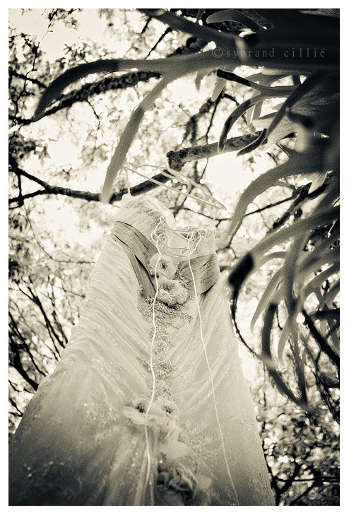 LP_0353 copy
