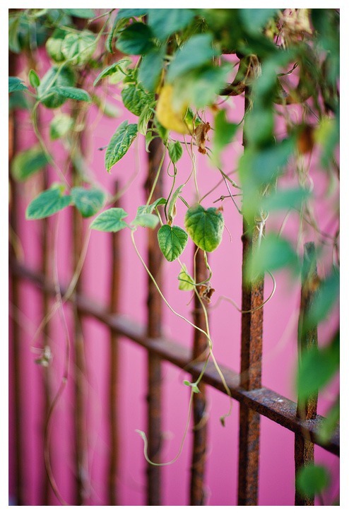 LR_0075 copy