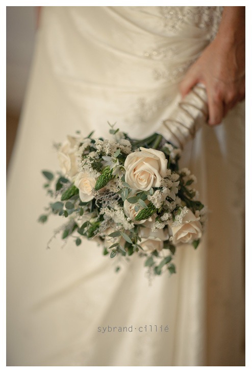 LR_0582 copy