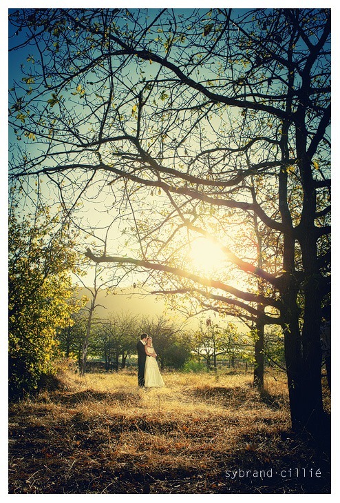 LR_1730 copy