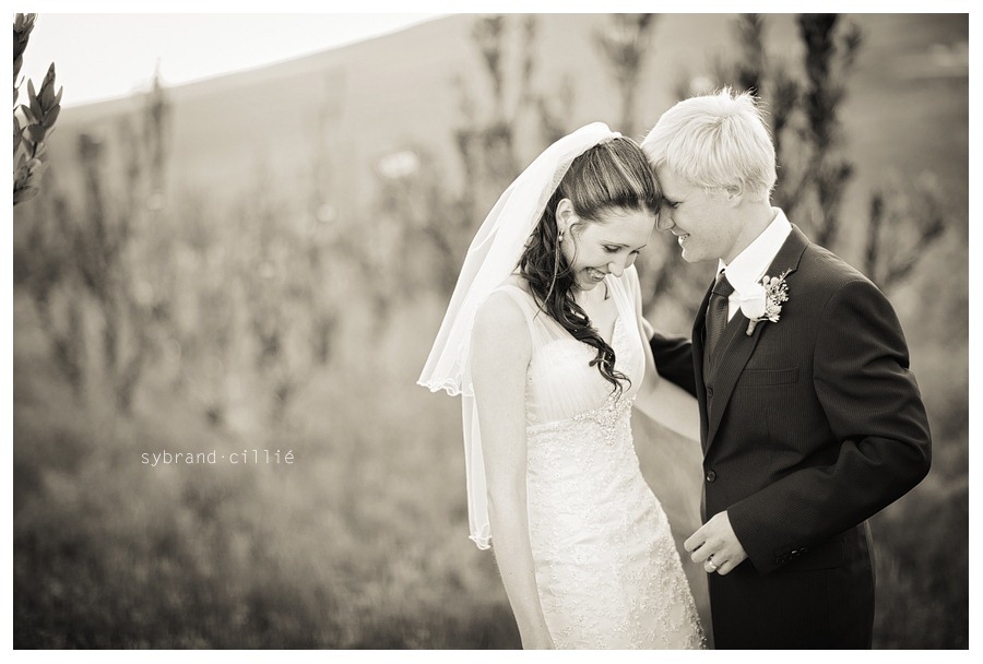 MG_1107 copy