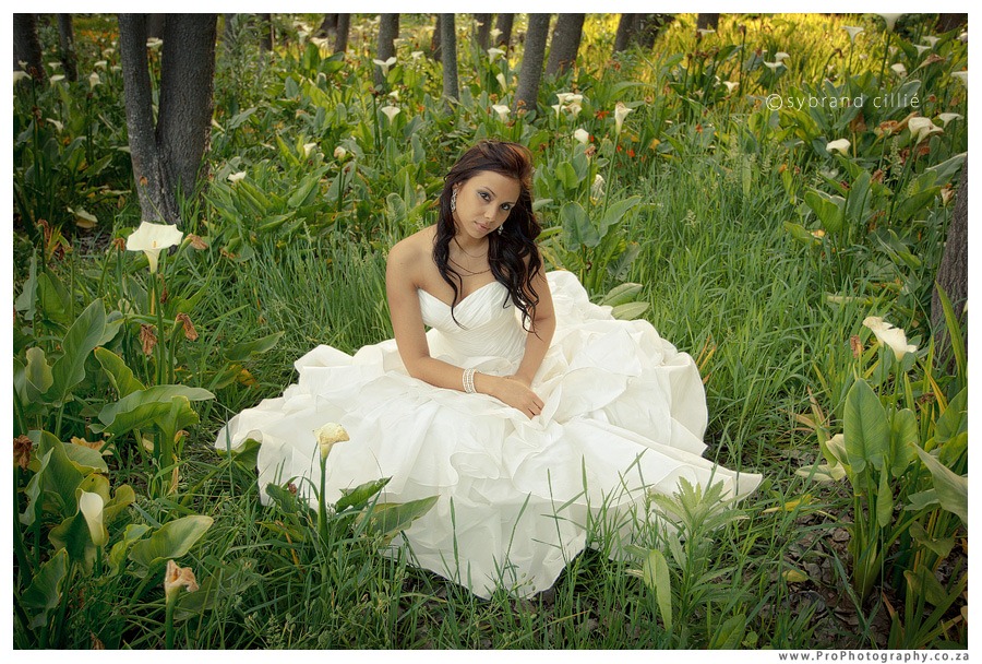 ML_1369 copy