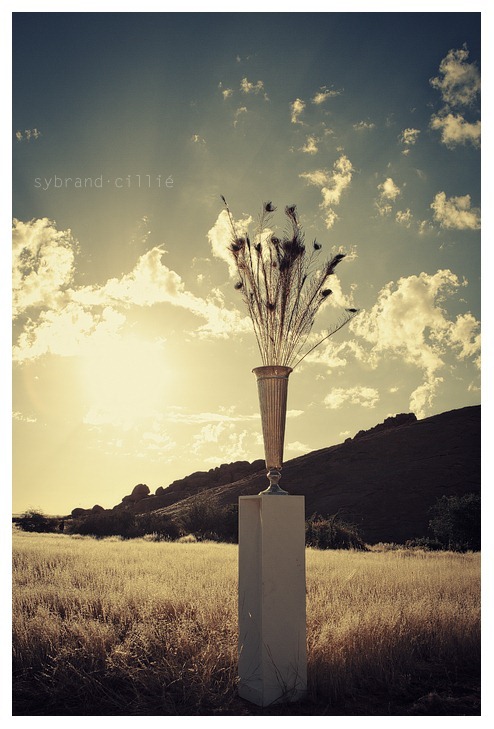 MM_1217 copy
