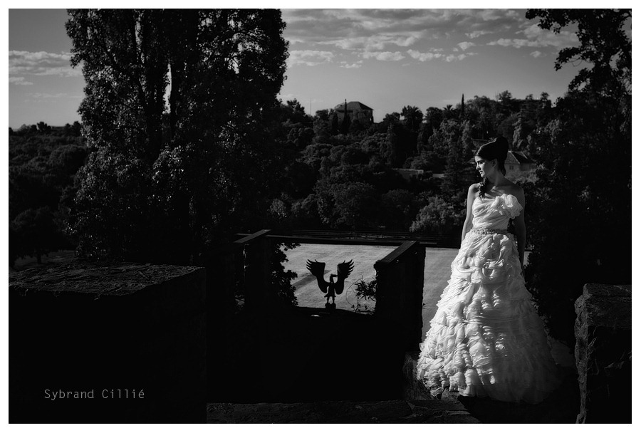 NS_1599 copy