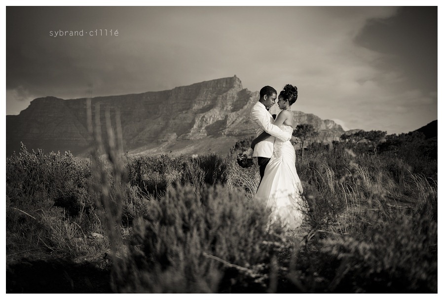 NL_2014 copy