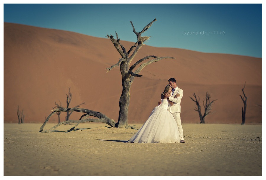 MM_3930 copy