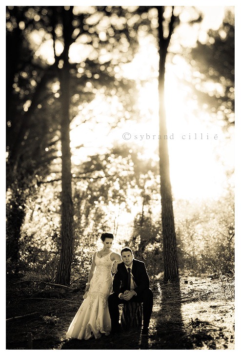 SJ_2151 copy
