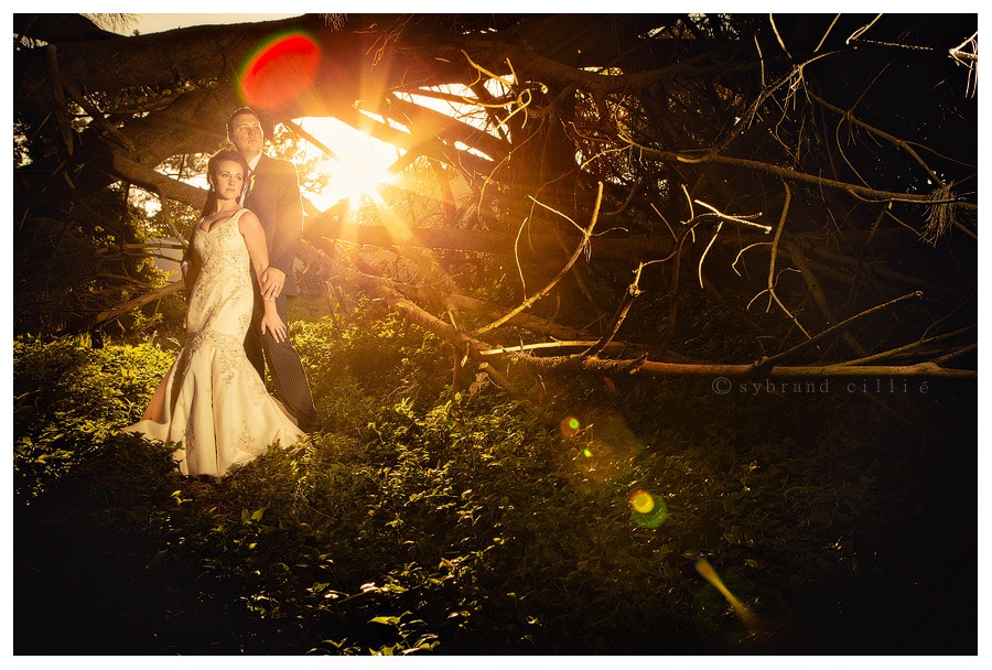 SJ_2416 copy
