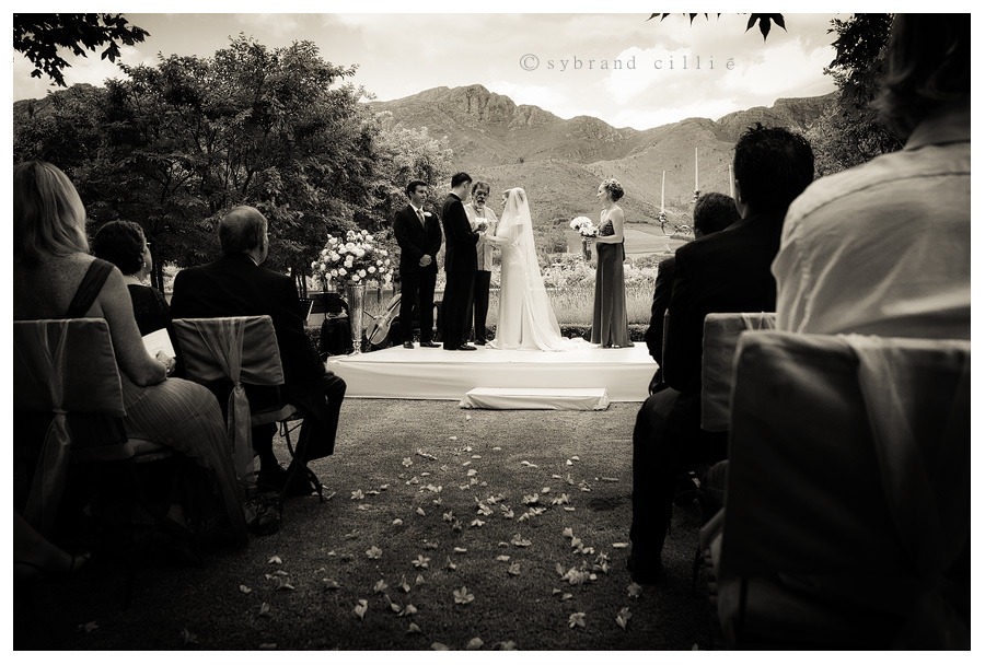 SG_0780 copy
