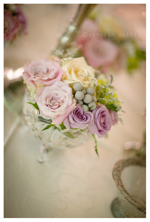 SJ_0023 copy