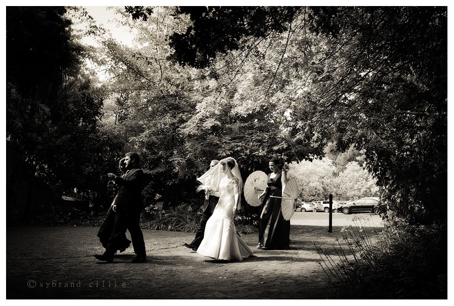 SJ_1136 copy