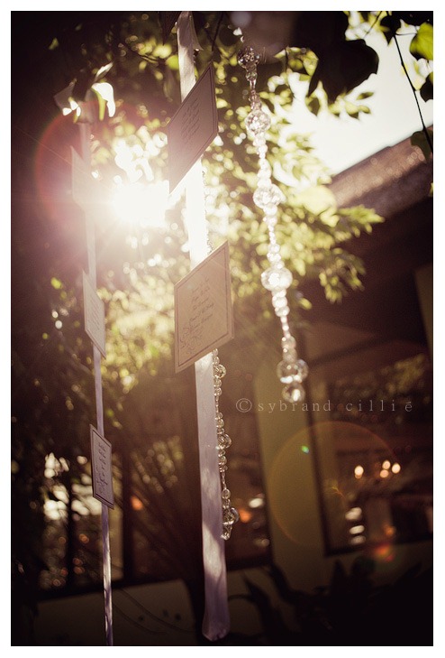 SJ_1567 copy