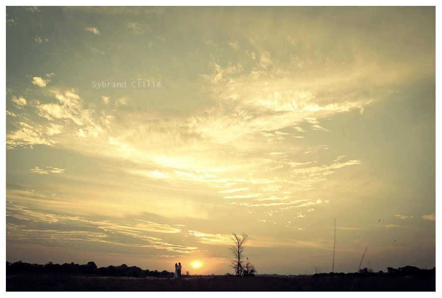 JJ_3694 copy