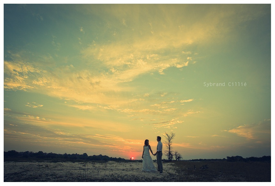 JJ_3735 copy
