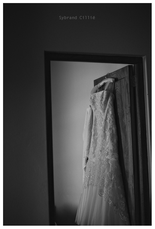 JS_0156 copy