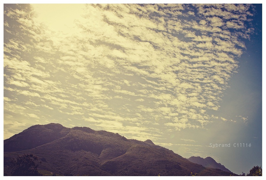 JS_0406 copy